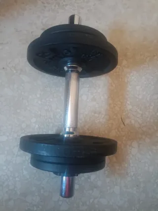 Mancuernas ajustables con discos