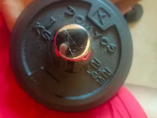 Mancuernas ajustables con discos