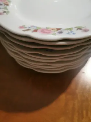 10 Piatti Frutta Porcellana Fiori Rosa