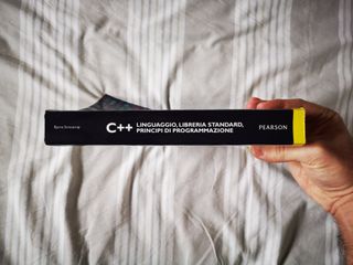 C++. Linguaggio, libreria standard, principi di...