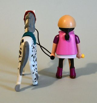 Playmobil Amazona Hipica con Caballo