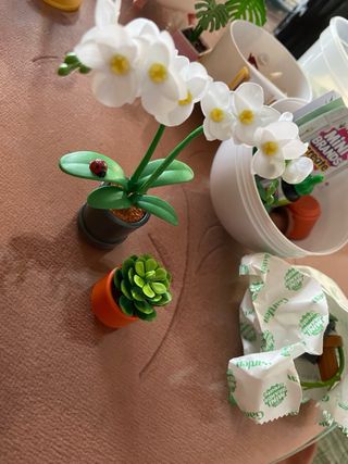 Miniverse Bola Garden