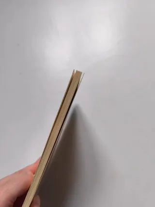 Libro Los hermanos de Mowgli