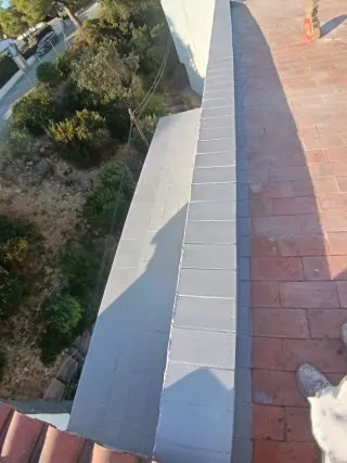 Servicios de pintura profesional