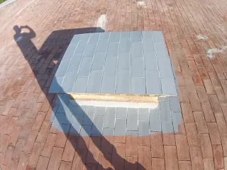 Servicios de pintura profesional