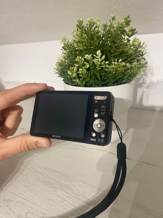 Sony Cybershot DSC-W580 Cámara Digital Negra