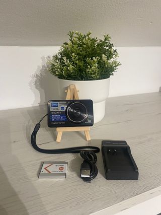 Sony Cybershot DSC-W580 Cámara Digital Negra