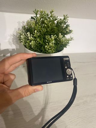 Sony Cybershot DSC-W580 Cámara Digital Negra