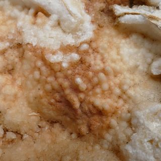 minerali CALCITE IN CONCREZIONE Liguria (CN4)