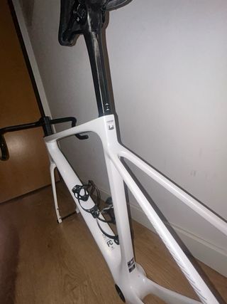 Cuadro Megamo Raise 2026 Talla M