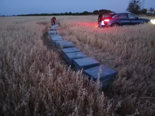 Servicio de polinización con abejas