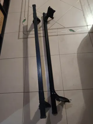 Vacas portaequipajes