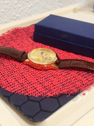 Reloj Poedagar Dorado y Marrón Hombre