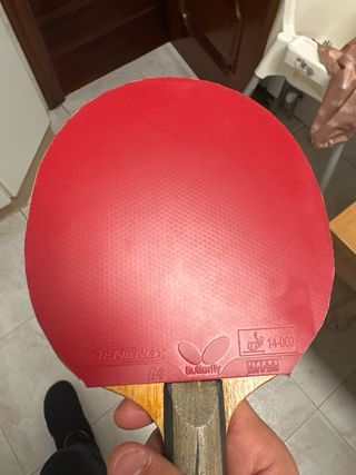 Pala Ping Pong Butterfly Tenergy 64