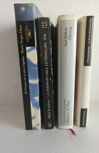 Lote Libros Narrativa Contemporánea de Peso