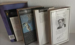 Lote Libros Narrativa Contemporánea de Peso