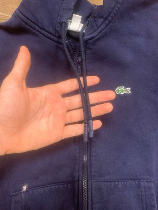 Felpa Lacoste Blu con Zip