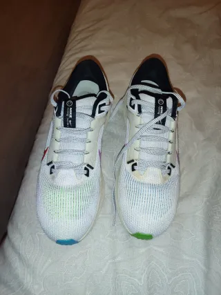Nike Air Zoom Pegasus 40 Zapatillas