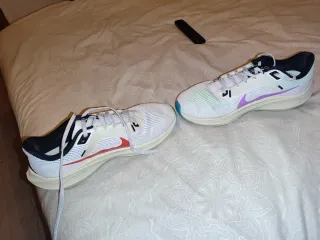 Nike Air Zoom Pegasus 40 Zapatillas