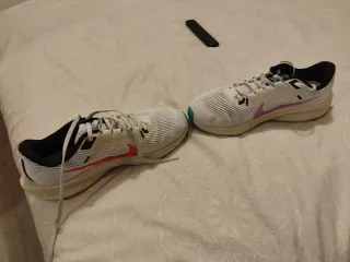 Nike Air Zoom Pegasus 40 Zapatillas