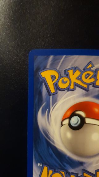 2003 Pokemon Swampert 13/109 Holo EX Ruby Sapphire