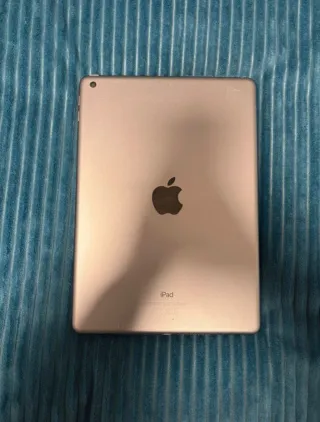 Apple iPad Plata