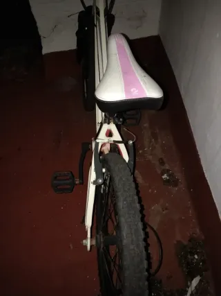 Bicicleta Monty Niño/a Rosa