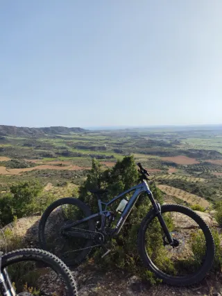 Bicicleta Trek Fuel EX 8