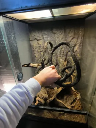 Terrario Exo Terra X-Tall