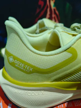 Nike Air Zoom Pegasus 41 GTX