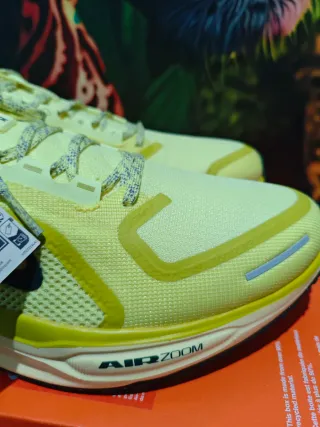 Nike Air Zoom Pegasus 41 GTX