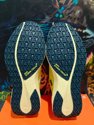 Nike Air Zoom Pegasus 41 GTX