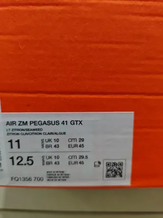 Nike Air Zoom Pegasus 41 GTX