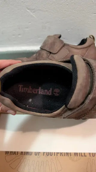 Zapatos de montaña Timberland hombre