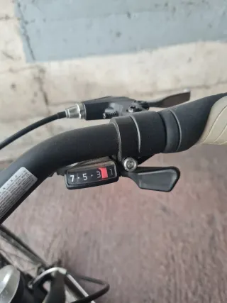 Bicicleta Paseo Orbea Gris