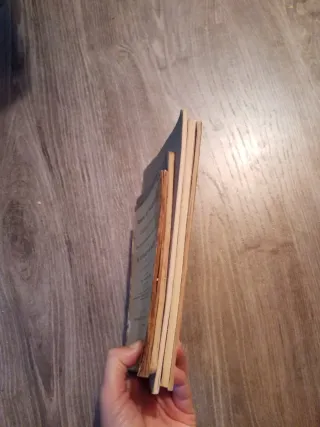 Lote libros homeopatia