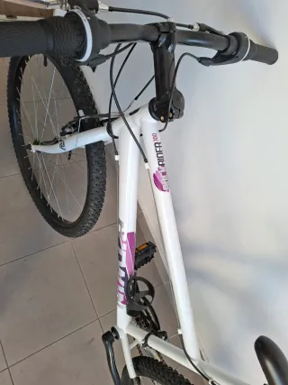 Bicicleta blanca