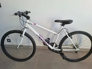 Bicicleta blanca