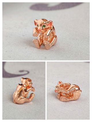 Conjunto El Rey León