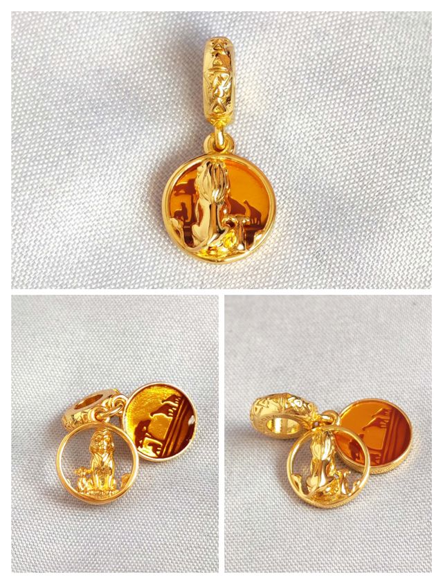 Conjunto El Rey León