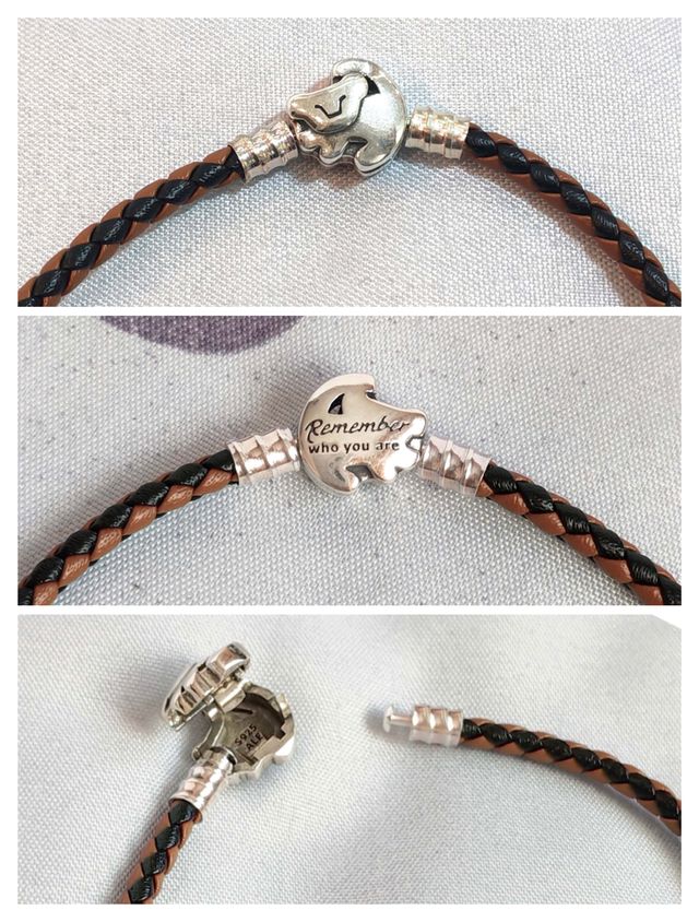 Conjunto El Rey León