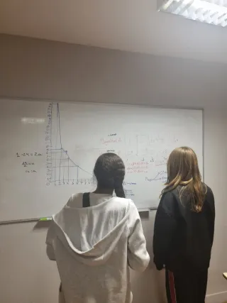 Niñera/canguro y/o apoyo escolar pedagógico.