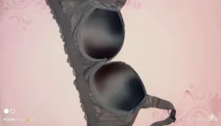 Sujetador gris con encaje