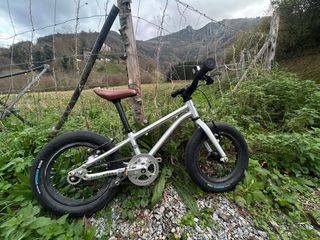 Bicicleta Early Rider Belter 14’