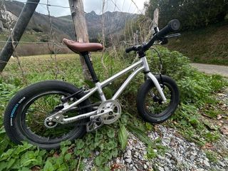 Bicicleta Early Rider Belter 14’