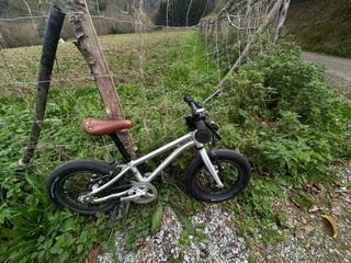 Bicicleta Early Rider Belter 14’