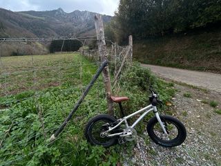 Bicicleta Early Rider Belter 14’