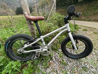 Bicicleta Early Rider Belter 14’