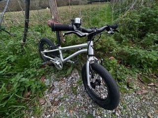 Bicicleta Early Rider Belter 14’