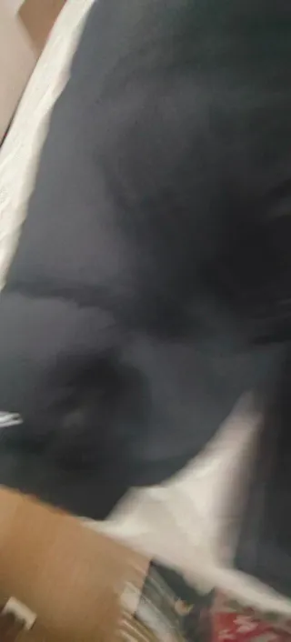 Cazadora The North Face Negra Talla M Nueva a estr